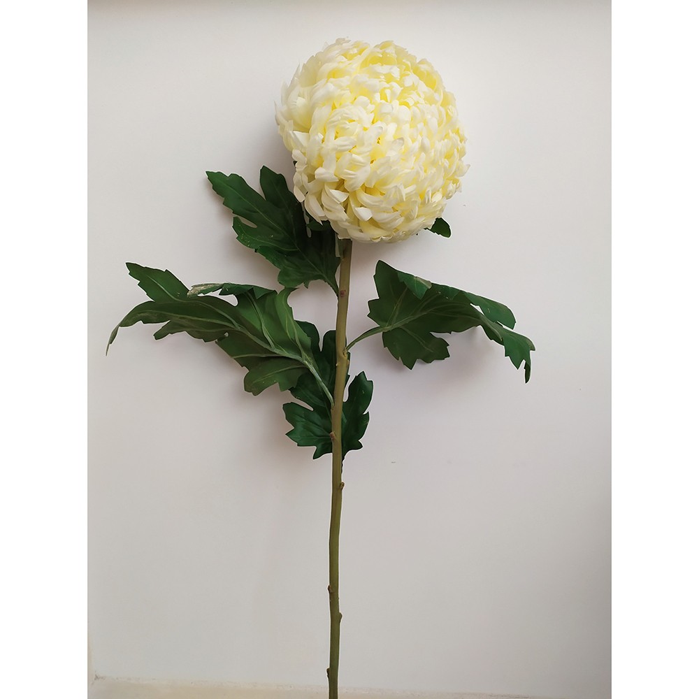 Stelo di crisantemo gigante in tessuto Crema (fiore 18 cm) - 75 cm